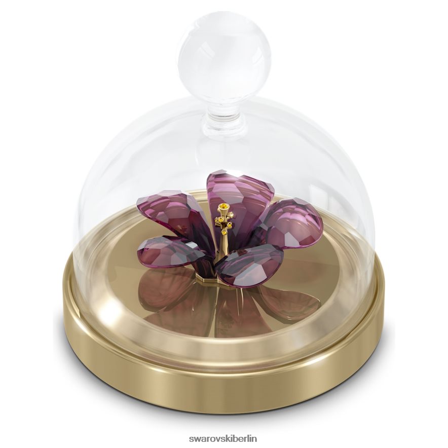 Swarovski Garden Tales Hibiskus-Glocke Sammlung Dekorationen HLT4481642