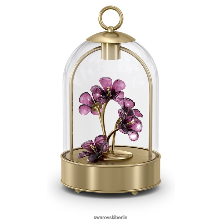 Swarovski Garden Tales Hibiskus-LED-Laterne Sammlung Dekorationen HLT4481648