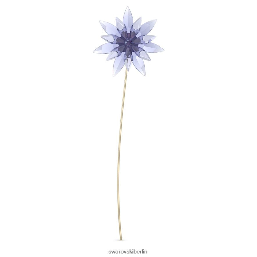 Swarovski Garden Tales Nigella Online-Ausgabe Sammlung Dekorationen HLT4481616