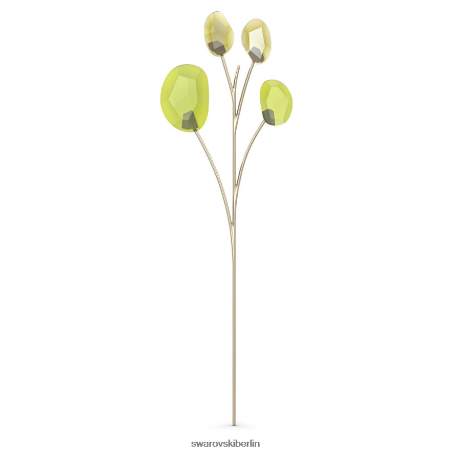 Swarovski Gartengeschichten Eukalyptus Sammlung Dekorationen HLT4481645