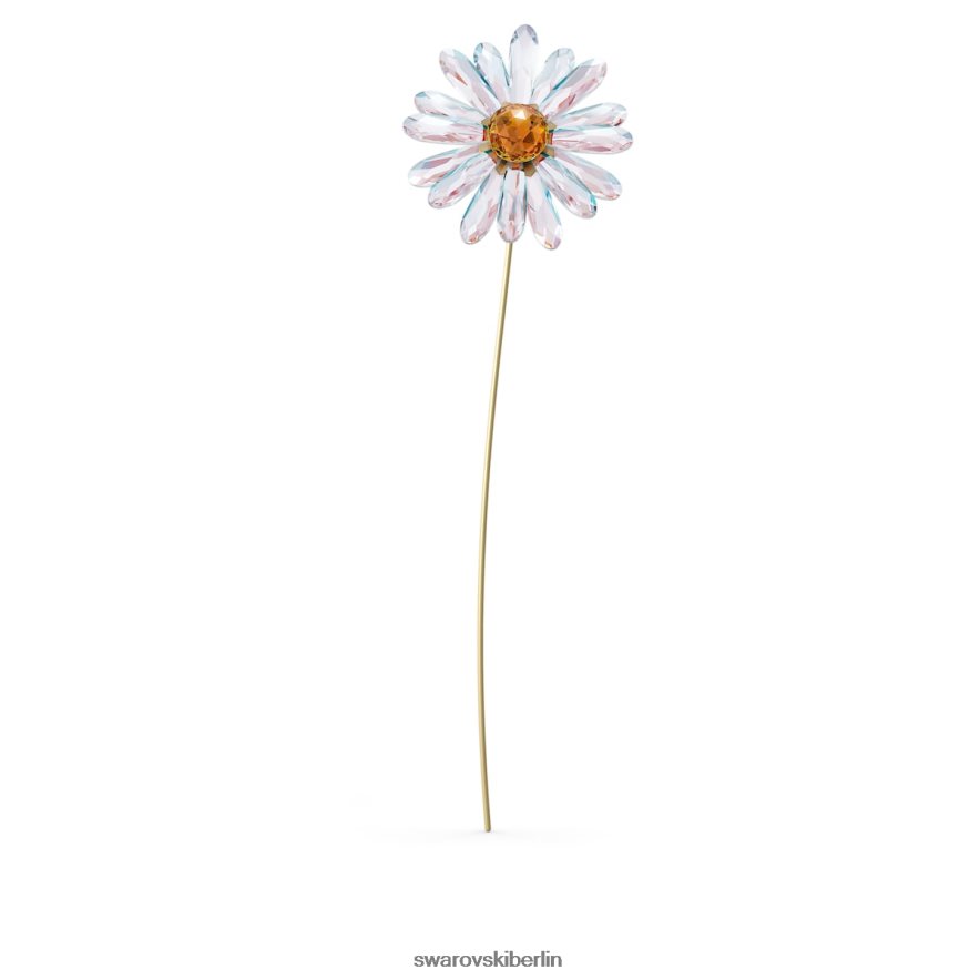 Swarovski Gartengeschichten Gänseblümchen Sammlung Dekorationen HLT4481623