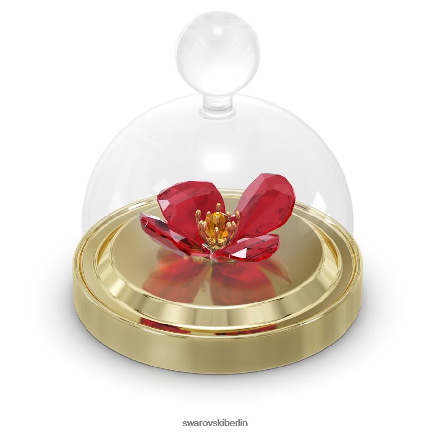 Swarovski Gartengeschichten-Glasglocke mit rotem Mohn Sammlung Dekorationen HLT4481641