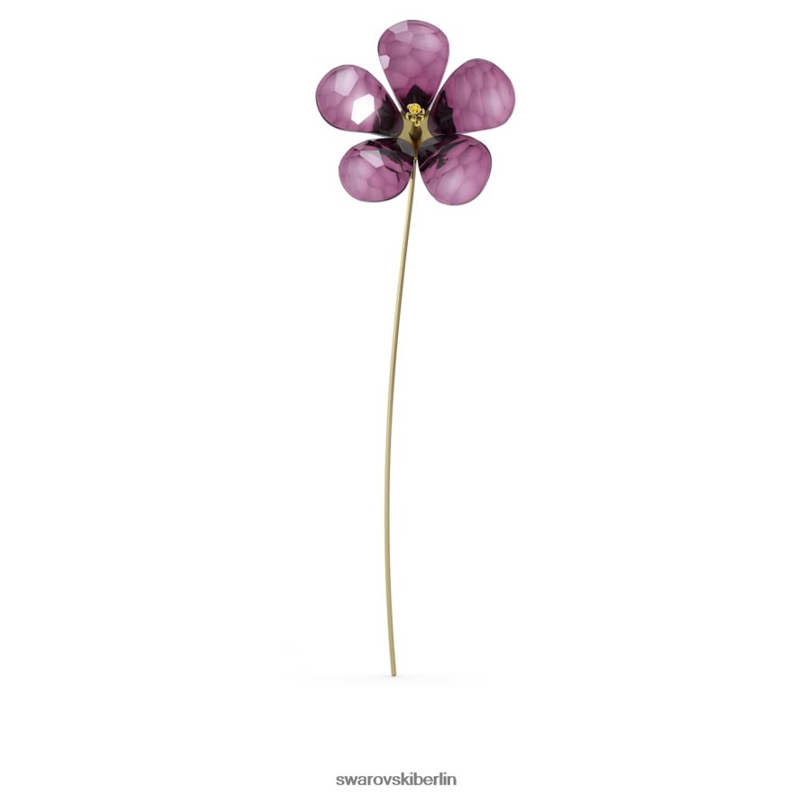 Swarovski Gartengeschichten Hibiskus Sammlung Dekorationen HLT4481633