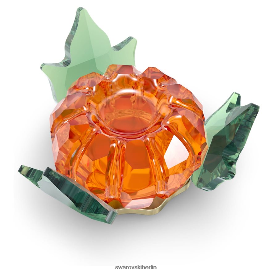 Swarovski Gartengeschichten Kürbismagnet Sammlung Dekorationen HLT4481624