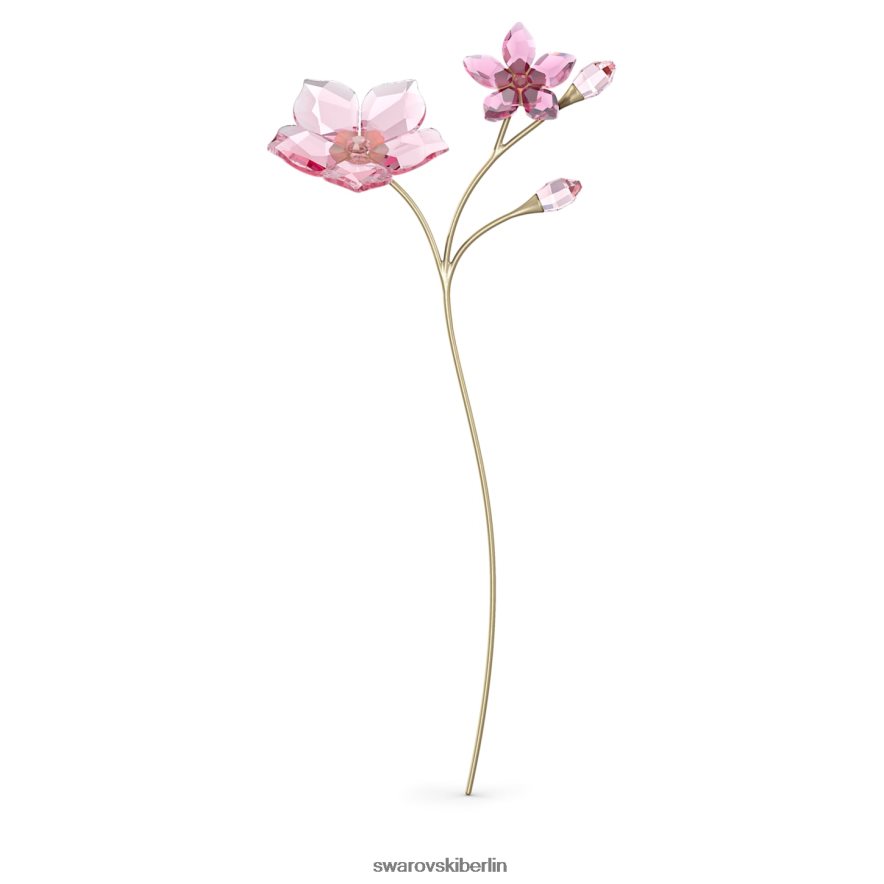 Swarovski Gartengeschichten Kirschblüte Sammlung Dekorationen HLT4481625
