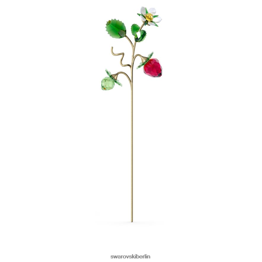 Swarovski Gartengeschichten Walderdbeere Sammlung Dekorationen HLT4481635