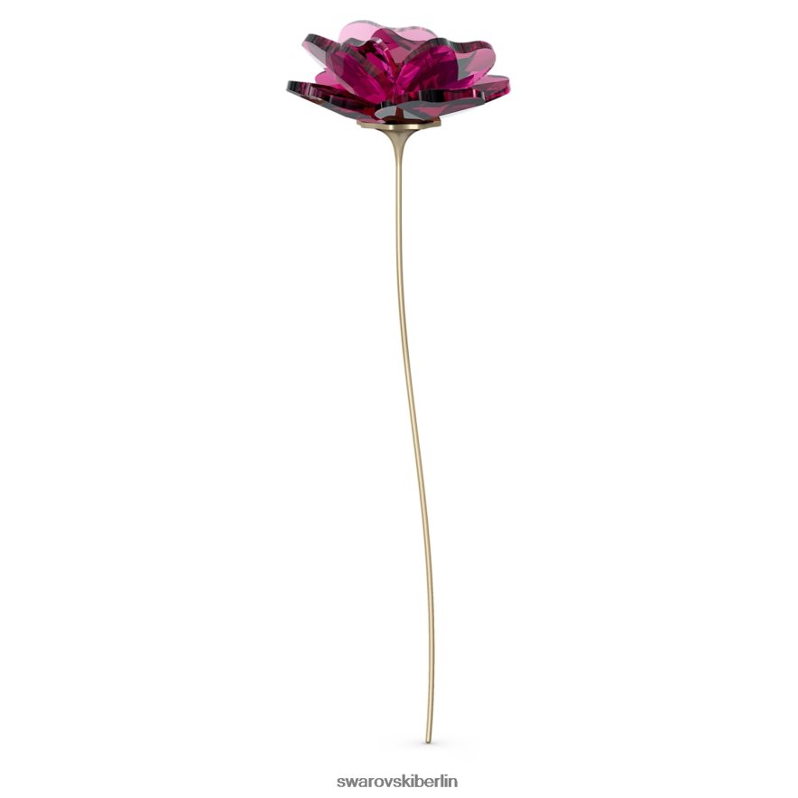 Swarovski Gartengeschichten stiegen Sammlung Dekorationen HLT4481627