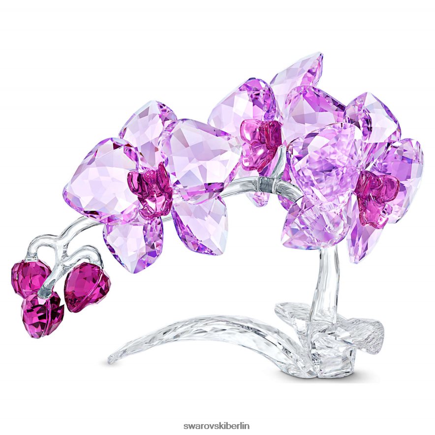 Swarovski Kristallblumenorchidee Sammlung Dekorationen HLT4481630