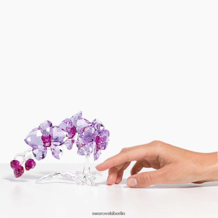 Swarovski Kristallblumenorchidee Sammlung Dekorationen HLT4481630