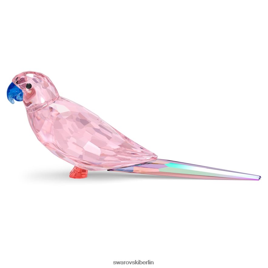 Swarovski Dschungel schlägt rosa Sittich-Cha-Cha Sammlung Dekorationen HLT4481654