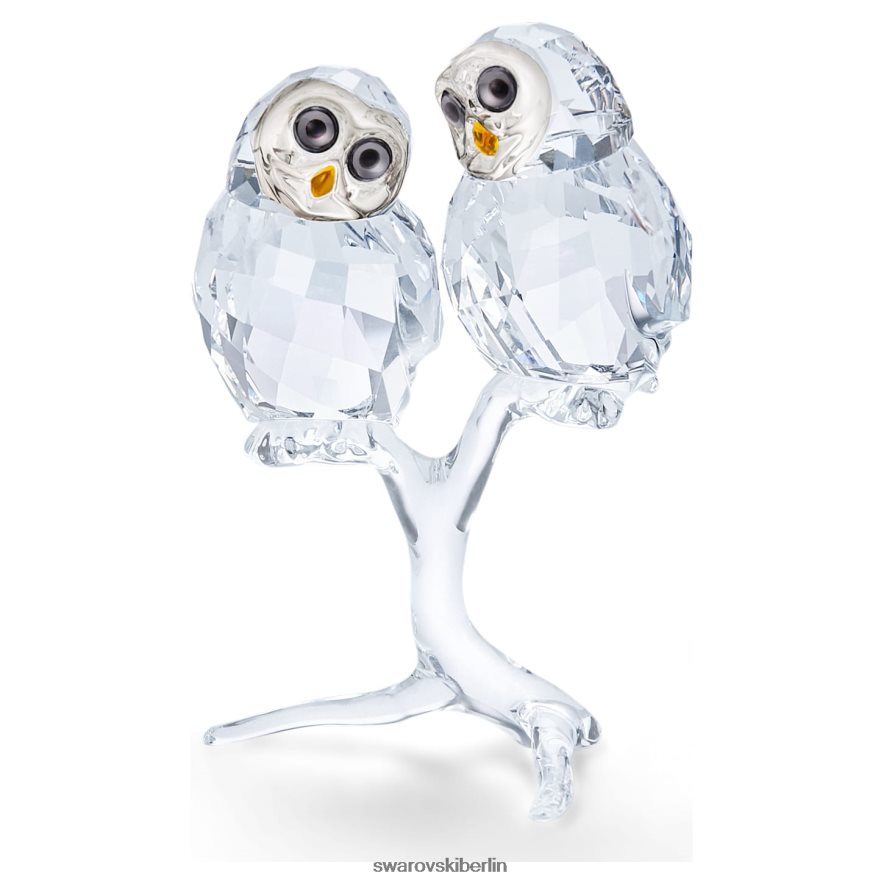 Swarovski Eulenpaar Sammlung Dekorationen HLT4481671