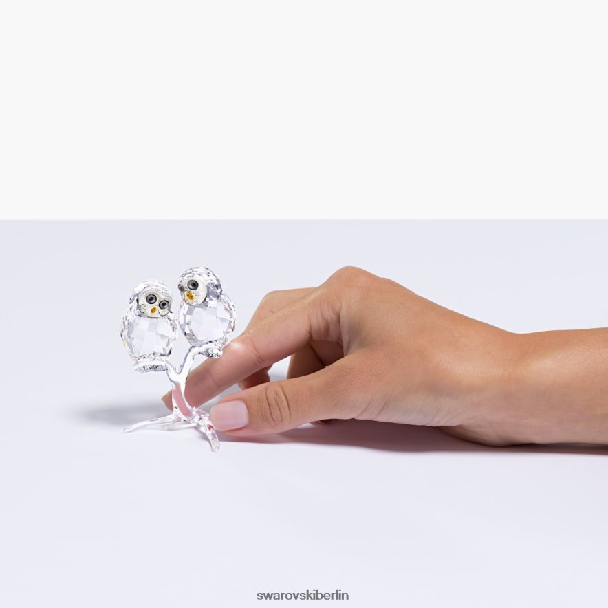 Swarovski Eulenpaar Sammlung Dekorationen HLT4481671