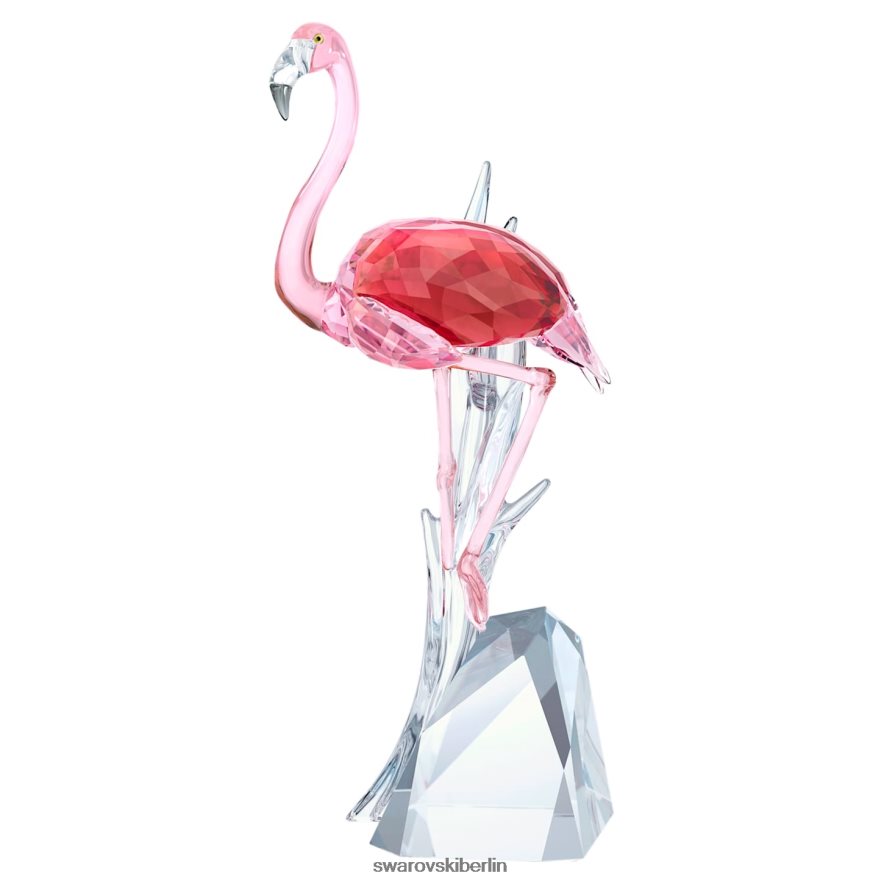 Swarovski Flamingo Sammlung Dekorationen HLT4481673