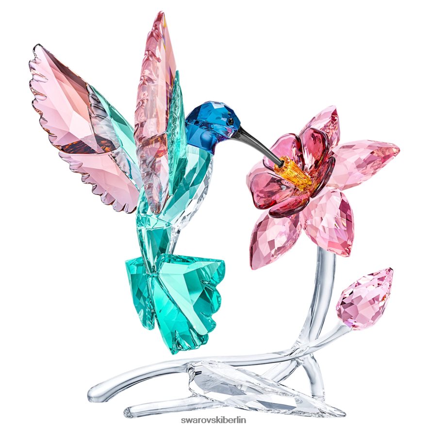 Swarovski Kolibri Sammlung Dekorationen HLT4481669