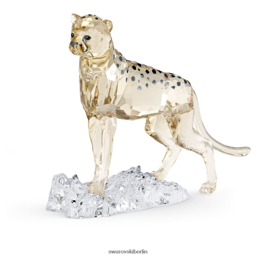 Swarovski Eleganz Afrikas SCS Gepard Baby Jabari Sammlung Dekorationen HLT4481677