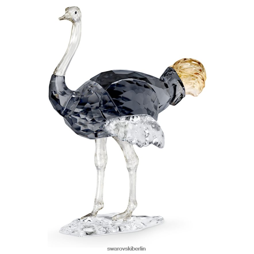 Swarovski Eleganz Afrikas SCS Strauß Makena Sammlung Dekorationen HLT4481680