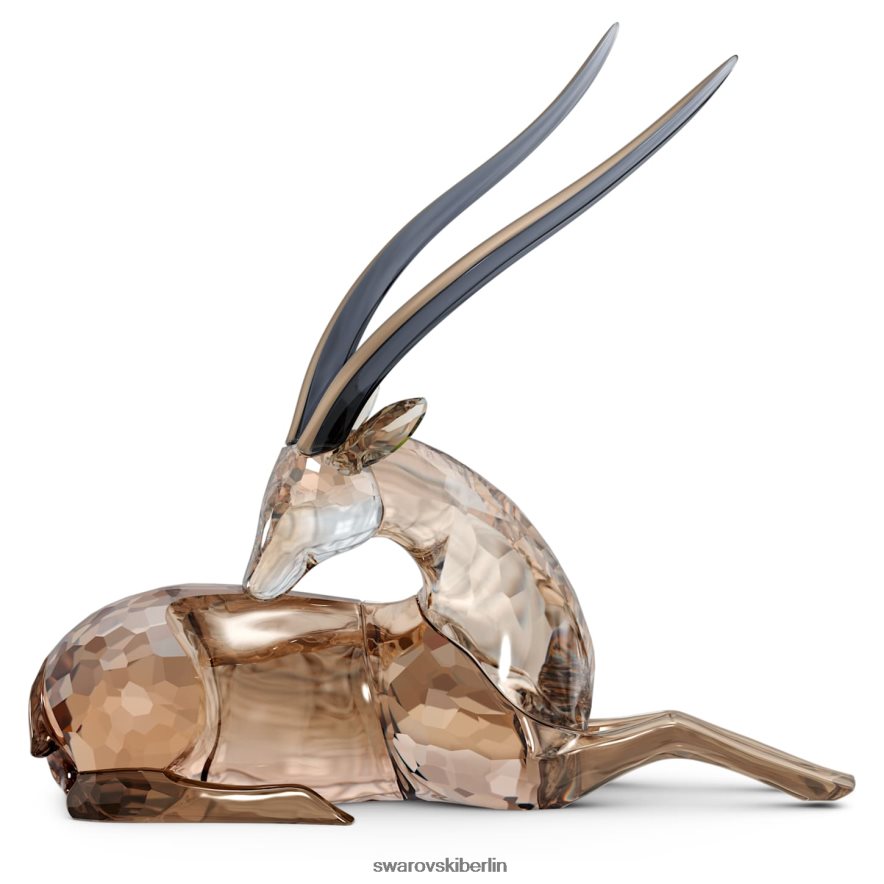 Swarovski afrikanischer Sonnenuntergang Gazelle Jabali Sammlung Dekorationen HLT4481685